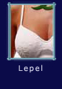 Lepel