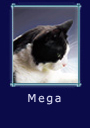 Mega