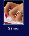 Samor