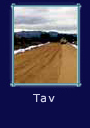 Tav